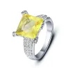 anillo