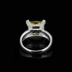anillo