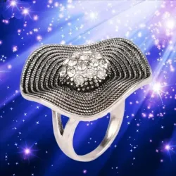anillo