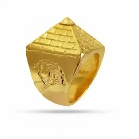 anillo