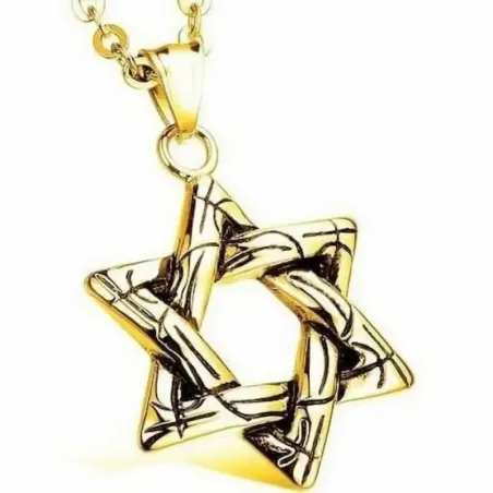 Colgante de la Estrella de David en acero dorado, cadena de 50 cm y cierre de langosta.